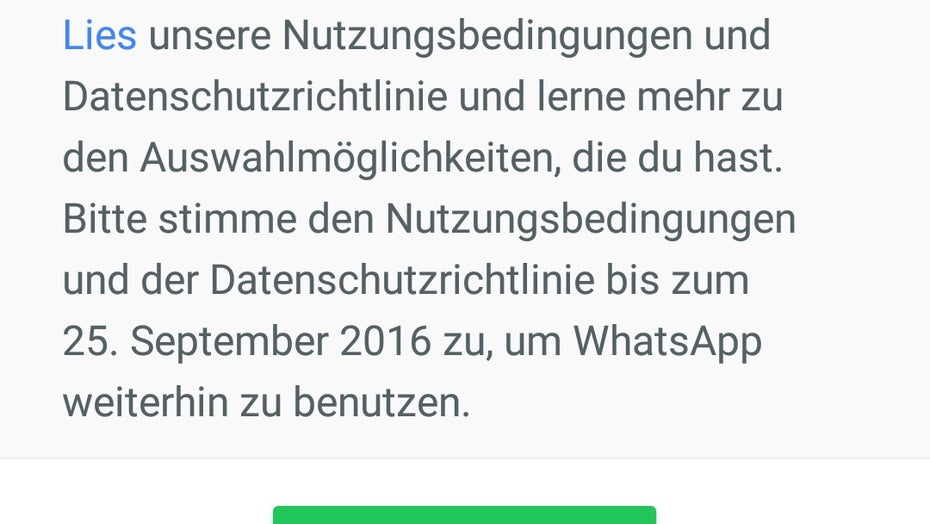 Die neuen Whatsapp Nutzungsbedingungen. (Screenshot: t3n)
