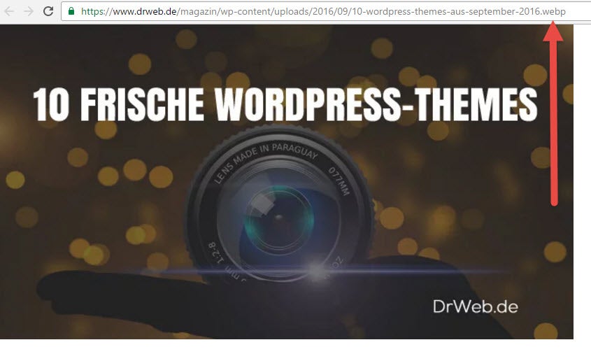 Chrome-Nutzer bekommen automatisch WebP geliefert. (Screenshot: t3n)