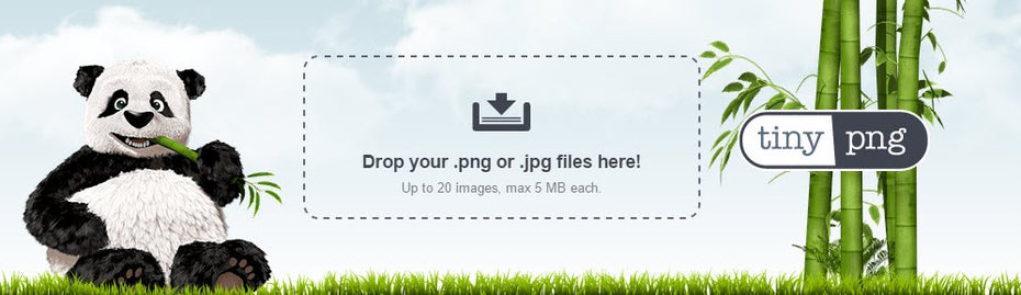 TinyPNG bietet mittlerweile ebenfalls ein WordPress-Plugin. (Screenshot: t3n)