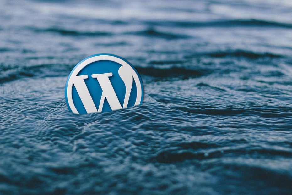 Damit dir WordPress nicht absäuft, integriere es mit Git. (Foto: Pixabay)