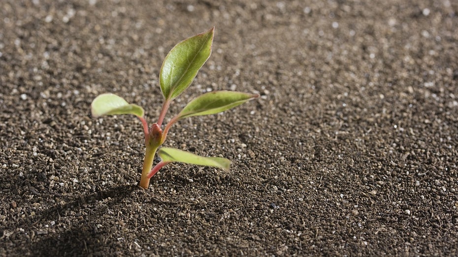 4 Millionen Euro: Land Niedersachsen wird zum Seed-Investor