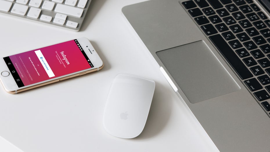 (Foto: Iryna Gyrych / Shutterstock.com) Instagram-Fotos vom Desktop hochladen: So geht’s