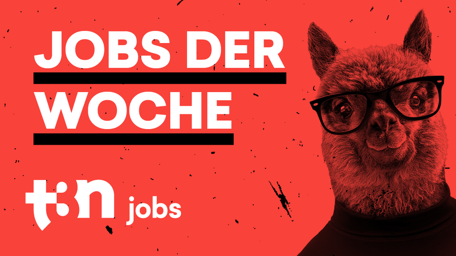 Unsere Jobs der Woche für digitale Pioniere