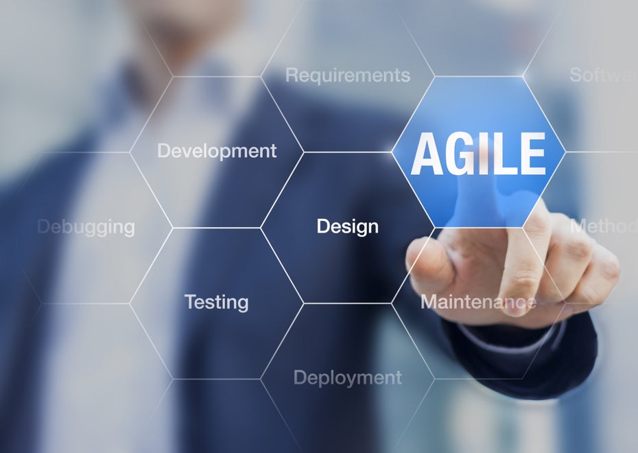 Agile Softwareentwicklung (Foto: Nicoeinino / Shutterstock)