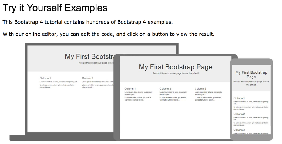 Bootstrap-4-Tutorial mit vielen Beispielen und Online-Editor. (Screenshot: W3schools/t3n.de)