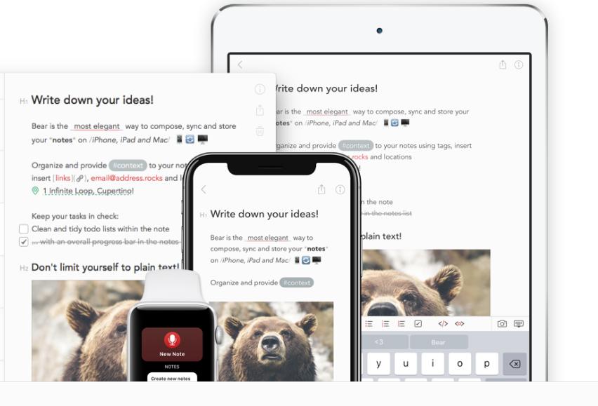 Bear – Notiztool mit eleganter Oberfläche