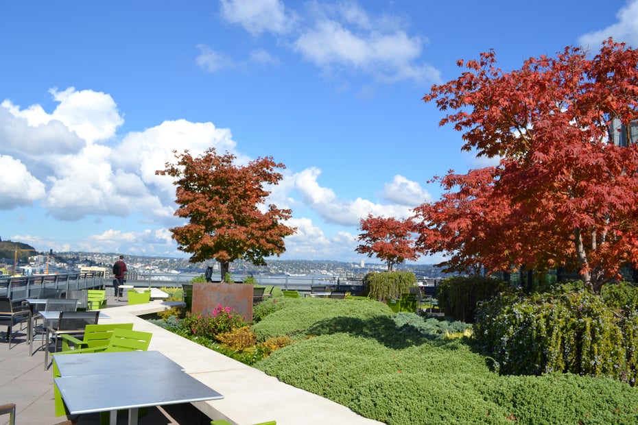 Dachterrasse auf einem Amazon-Gebäude. (Foto: t3n.de/Jochen G. Fuchs)