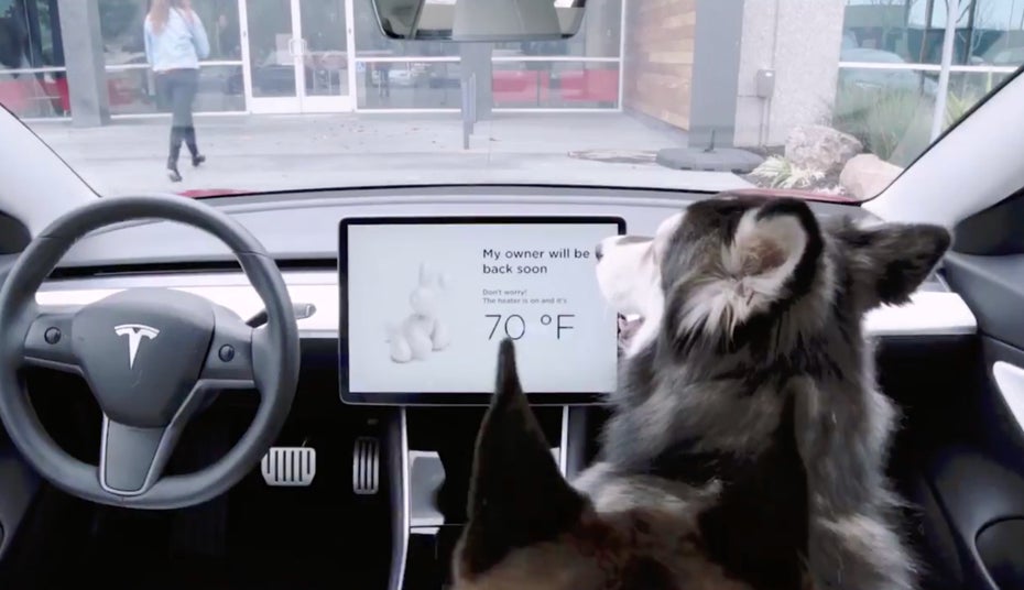 Tesla denkt mit dem Dog-Mode auch an eure vierbeinigen Freunde. (Screenshot: Tesla)
