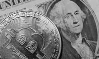 Bitcoin wird den Dollar ersetzen – meint zumindest Twitter-Mitgründer Dorsey