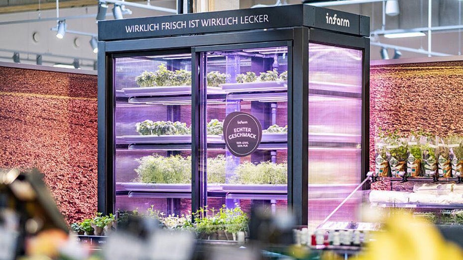 Urban-Farming-Startup Infarm steigt zum nächsten Berliner Unicorn auf