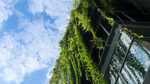 Klima- und Umweltschutz: 12 Tipps, die dein Unternehmen grüner machen