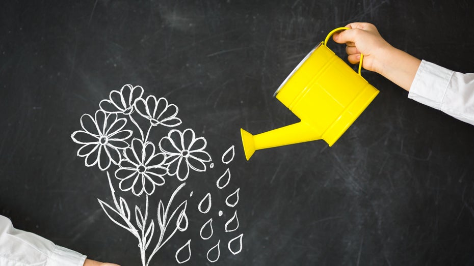 (Foto: Shutterstock) Gießkanne war gestern: 3 Gründe, warum Daten die Basis von Content-Marketing sein müssen