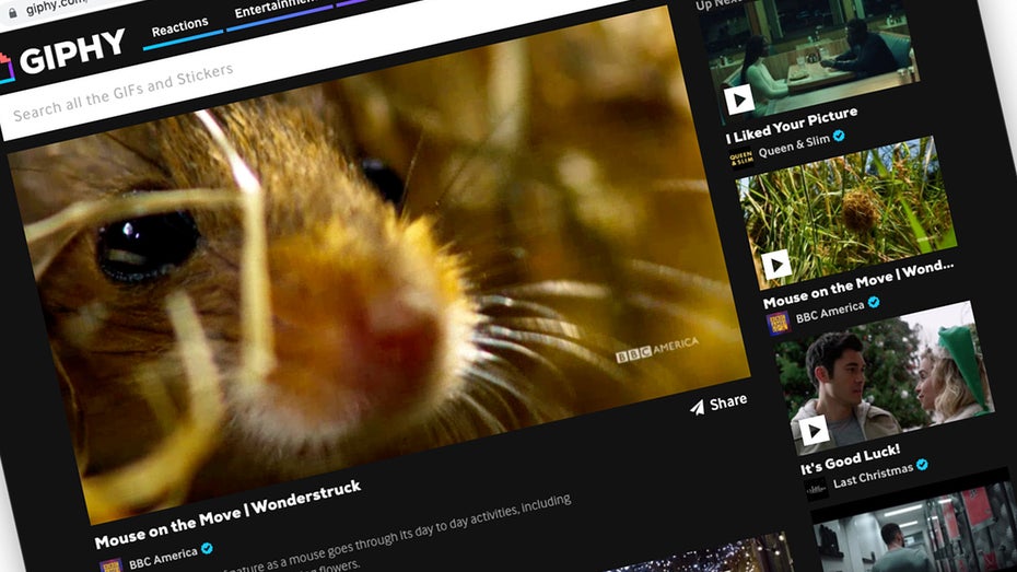 Nichts für GIF-Puristen: Giphy startet Video-Seite – mit Ton