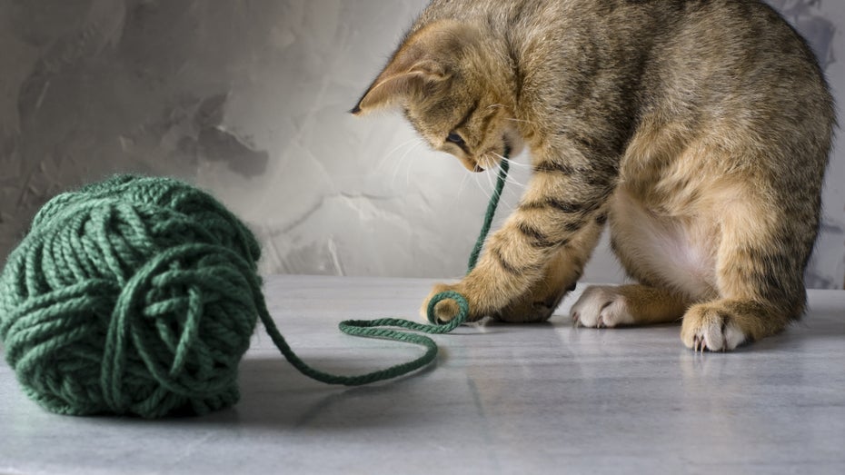 (Bild: Noam Armonn/Shutterstock) Yarn 2 kommt mit interessanten neuen Features