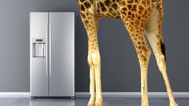 Brainteaser im Vorstellungsgespräch: Wie kommt die Giraffe in den Kühlschrank? Brainteaser im Vorstellungsgespräch: Wie kommt die Giraffe in den Kühlschrank?