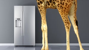 Brainteaser im Vorstellungsgespräch: Wie kommt die Giraffe in den Kühlschrank?