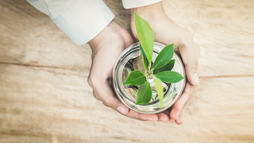 Warum grüne Startups besonders viel finanzielle Unterstützung benötigen Warum grüne Startups besonders viel finanzielle Unterstützung benötigen