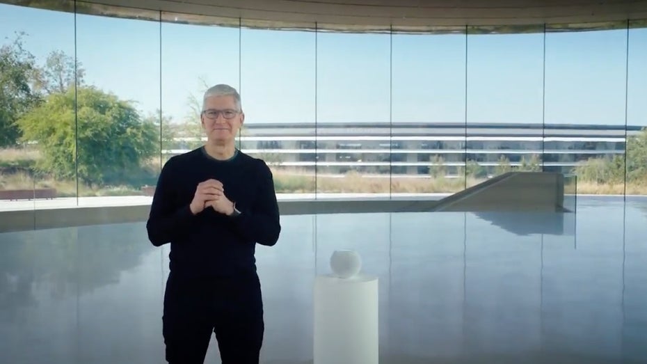 „Nicht Lob, sondern Reform“: Apple-Chef Tim Cook kritisiert Facebook „Nicht Lob, sondern Reform“: Apple-Chef Tim Cook kritisiert Facebook