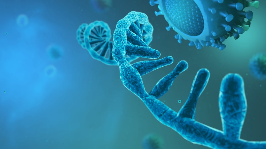 Ergebnis nach 5 Minuten: Nobelpreisträgerin arbeitet an Corona-Schnelltest auf Crispr-Basis Ergebnis nach 5 Minuten: Nobelpreisträgerin arbeitet an Corona-Schnelltest auf Crispr-Basis
