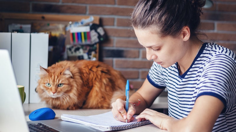 Home is where your office is! Die kleine Homeoffice-Umfrage von t3n