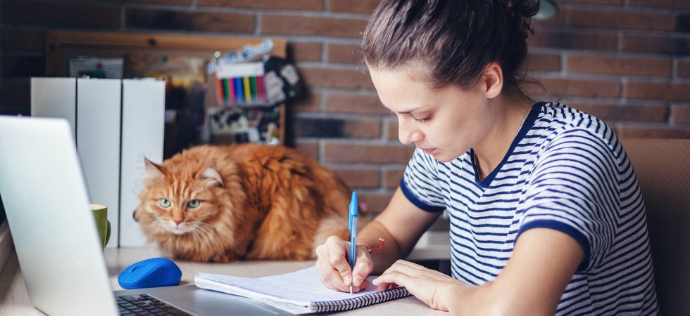 Ein junges Mädchen mit zu einem Dutt verknoteten Haaren sitzt am Schreibtisch, an dem sie an ihrem Laptop und einem Notizblock arbeitet. Neben ihr liegt eine rote Katze und beobachtet aufmerksam, aber entspannt..