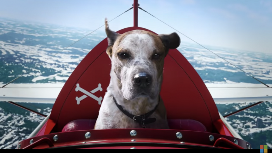 Microsoft-Spot: So sieht es aus, wenn ein Hund von Minecraft und Flight Simulator träumt