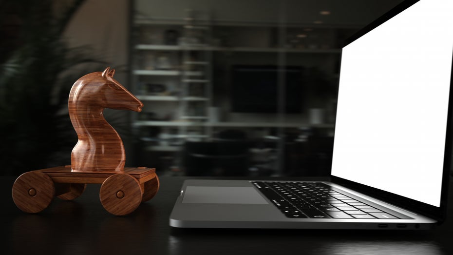 Pferd versus virtueller Datentransfer. (Foto: Alexander Limbach/Shutterstock) Internet-Test im Sauerland: Pferdekurier schneller als Datentransfer