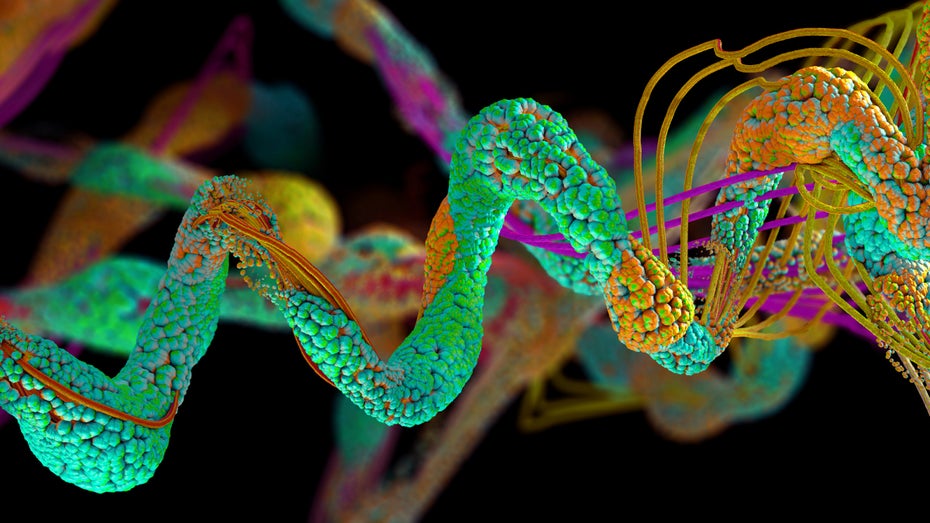 Proteinfaltung: Deepmind-KI löst jahrzehntealtes Wissenschaftsproblem