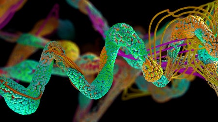 Bausteine des Lebens: KI-Tool Alphafold sagt auch Strukturen von DNA und RNA voraus