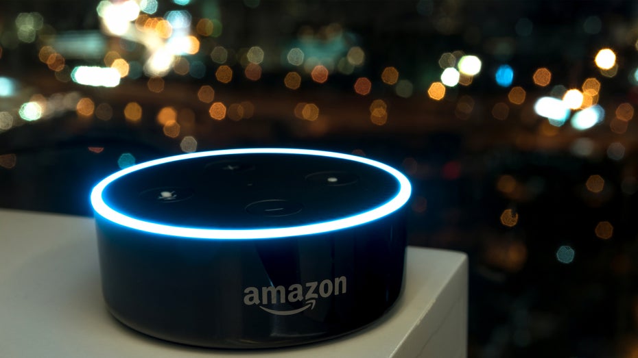 Amazons Alexa hört mit - und sorgt für personalisierte Werbung. (Foto: Zapp2Photo / shutterstock)
