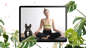30-Tage-Yoga-Challenge: Jetzt mit t3n fit ins neue Jahr starten!