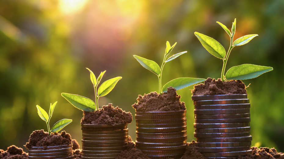 Purpose und Profit: Kann man mit einer Mission Geld verdienen? Purpose und Profit: Kann man mit einer Mission Geld verdienen?