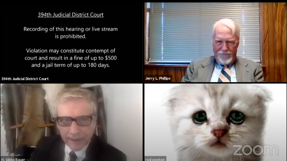 In dubio pro miau – Anwalt wird während Verhandlung durch Zoomfilter zum Kätzchen