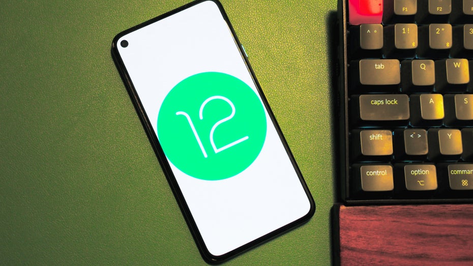 Android 12: Google veröffentlicht erste Entwicklerversion – das bringt das große Update