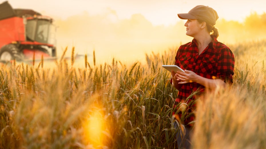 900 Prozent „Zinsen“ und mehr: Das steckt hinter dem Farming von Kryptowährungen