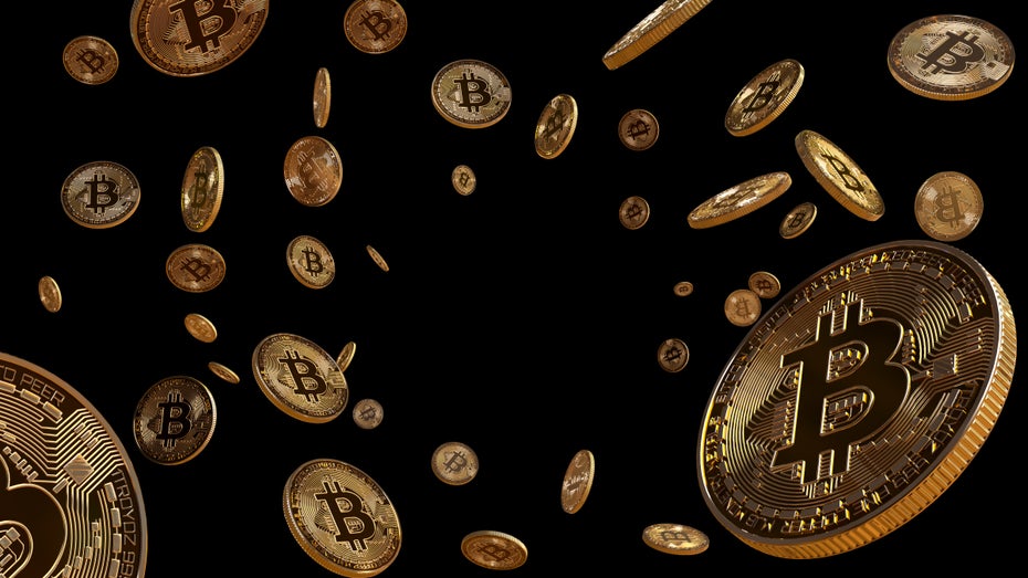 Regierungsberater fordert: „Die Niederlande müssen Bitcoin verbieten“