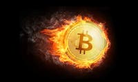 Wirtschaftsprofessor: Bitcoin könnte schon bald verschwinden
