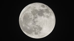 Fast 200 Gramm pro Tonne Gestein: Erstmals direkt Wasser im Mondstaub nachgewiesen