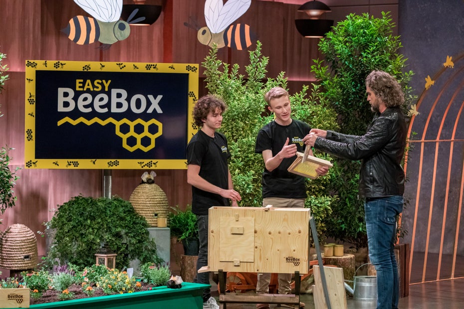Die EasyBeeBox-Gründer Nick Peters und Jan-Angelus Meyer erklären Nils Glagau ihr Produkt. (Foto: TVNOW / Bernd-Michael Maurer)