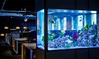 Risikofaktor IoT: Casino durch Aquarium gehackt