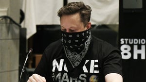 Musk bei Saturday Night Live: Doge-Kurs legt vor Elon Musks Auftritt Pause ein