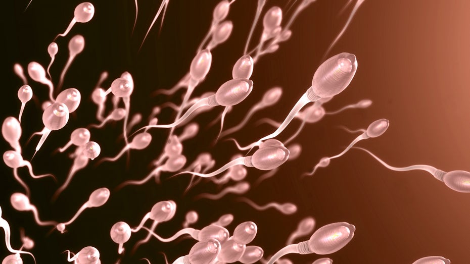 Neue Forschung: Sperma hält sich 200 Jahre lang auf der ISS