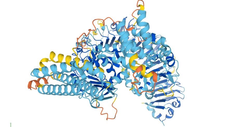 Proteinfaltung: Deepmind-Datenbank steht nun allen Menschen offen