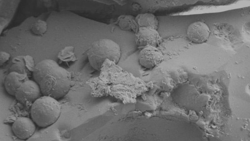 Dieser Gesteinsbrocken ist ein 4,6 Milliarden Jahre alter Meteorit Dieser Gesteinsbrocken ist ein 4,6 Milliarden Jahre alter Meteorit