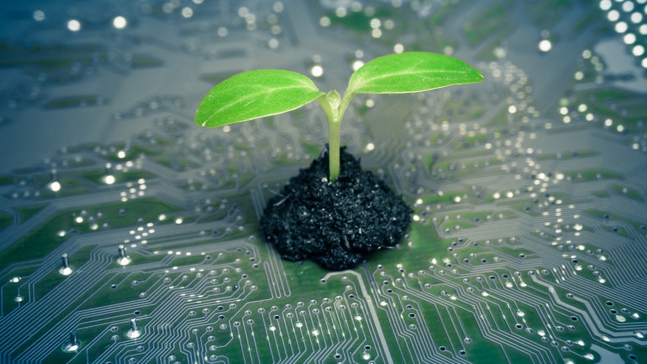 Auch Rechenzentren werden immer grüner und mit erneuerbarer Energie betrieben. (Bild: Shutterstock) Was macht Rechenzentren grün?