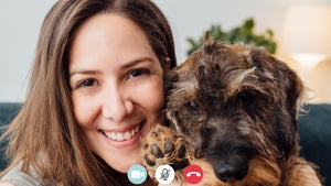 Zoom-Call mit deinem Hund: So machst du es richtig