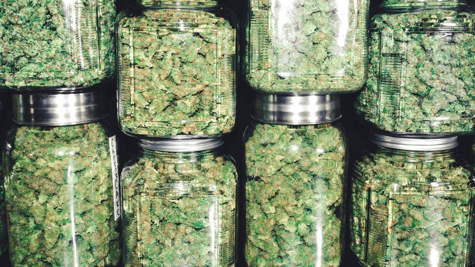 Legalize it: Amazon macht in den USA Lobbyarbeit für die Legalisierung von Marihuana Legalize it: Amazon macht in den USA Lobbyarbeit für die Legalisierung von Marihuana