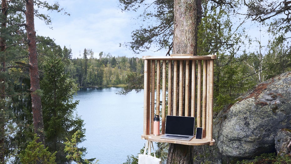 Kein Strom, keine Toilette, dafür Elche: In Finnland kannst du mitten im Wald arbeiten