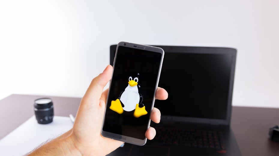 (Foto: Alberto Garcia Guillen / Shutterstock) Neue Android-Funktionen sollen im Linux-Hauptzweig landen
