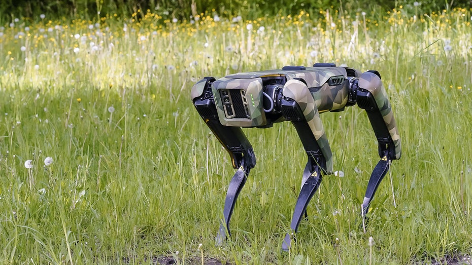 Spot und Co: Bundeswehr rekrutiert Robohunde Spot und Co: Bundeswehr rekrutiert Robohunde